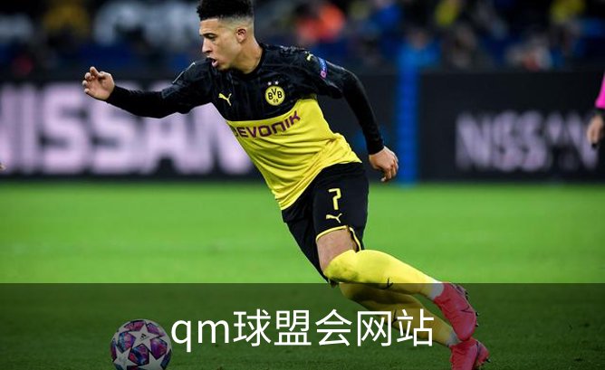 qm球盟会网站概况